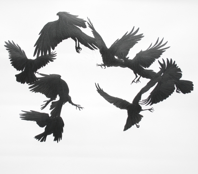 crow-surround-graphite-on-paper-2010-95x90cm1